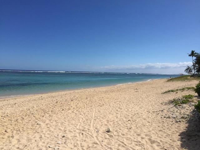 Villa De Charme Proche Plage Et Lagon La Saline Le Bains Kültér fotó